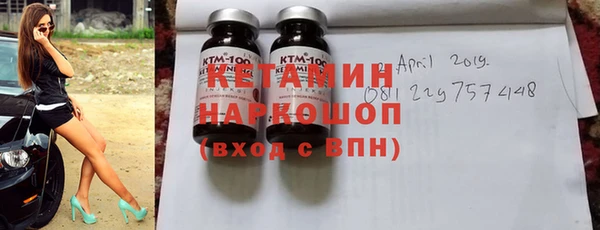 молекула духа Вяземский