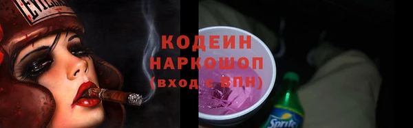молекула духа Вяземский