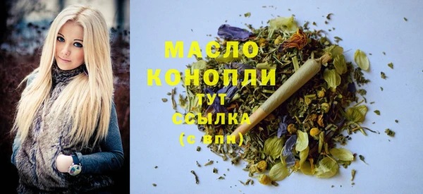 молекула духа Вяземский