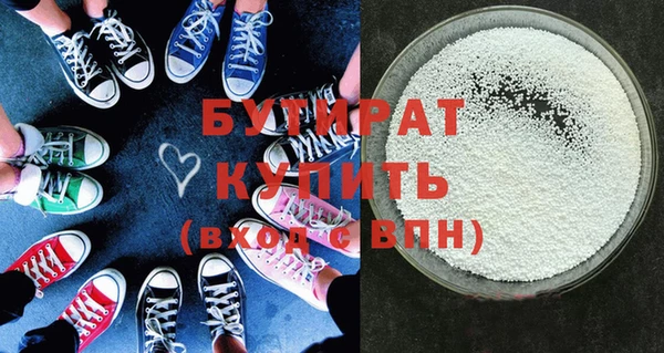 индика Дмитриев