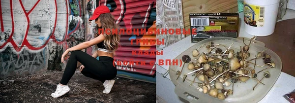 молекула духа Вяземский