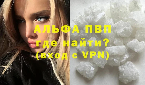 молекула духа Вяземский