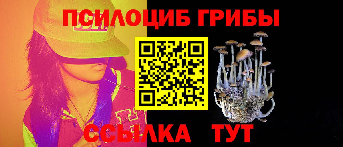 Всеволожск  Псилоцибиновые грибы GOLDEN TEACHER  Вход с VPN 