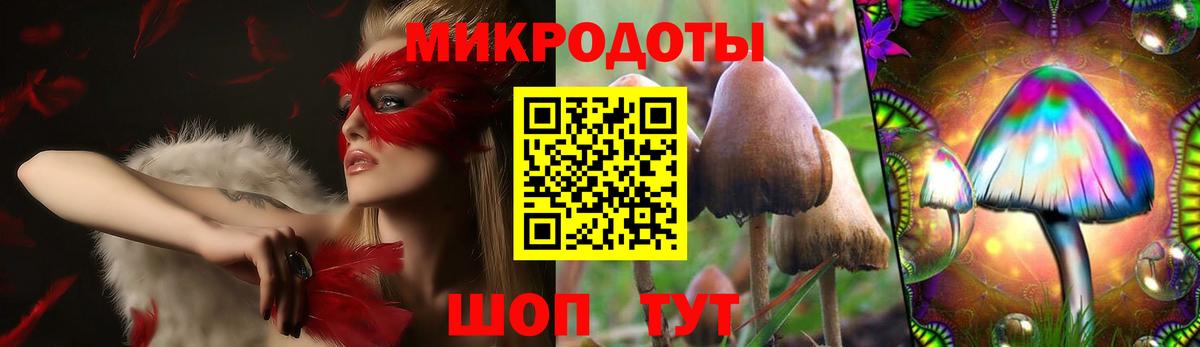 Псилоцибиновые грибы мицелий Всеволожск