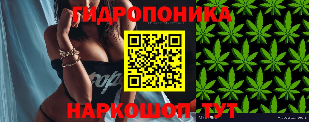 Марихуана планчик  Всеволожск  Канабис OG Kush  Конопля LSD WEED 